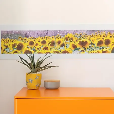 The Sunflower House Rzym